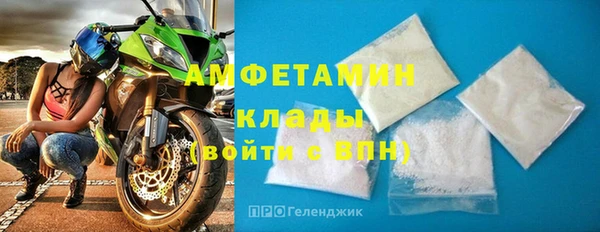 шишки Богородицк